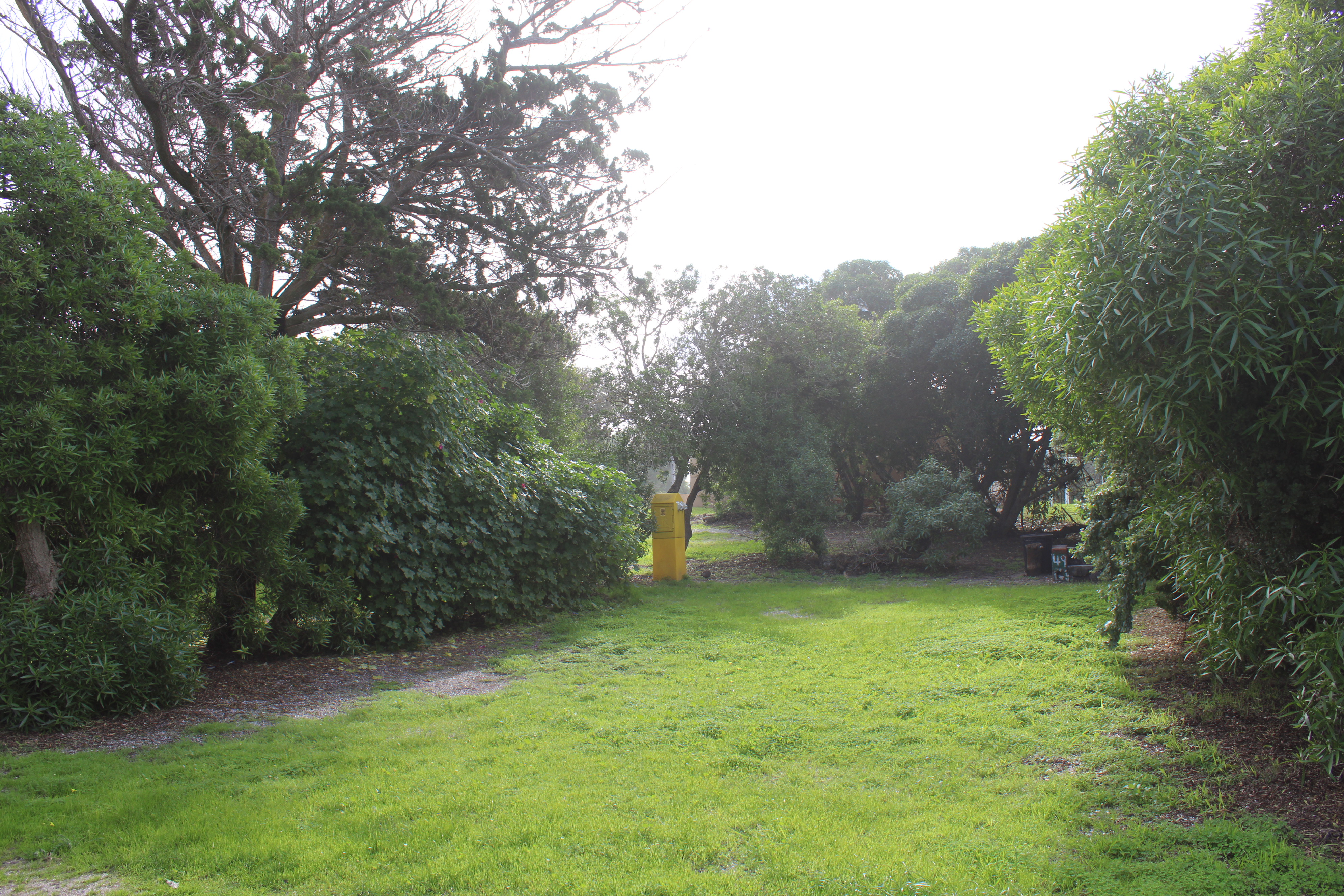 Park 1