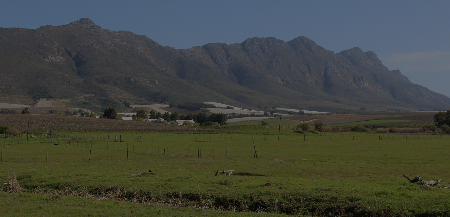 Welcome to the Official Website of Swartland Municipality